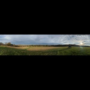 Meet your Posher, Sharlene